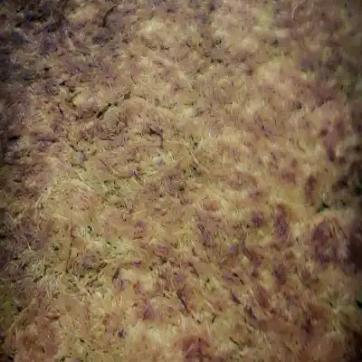 Bereket Pide Ve Lahmacun Fırını