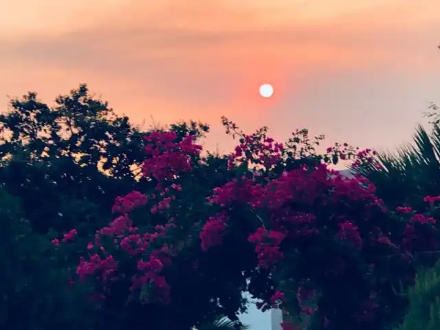 Ağaçlı Taş Ekmek Fırını Unlu Mamülleri'nin yemek ve ambiyans fotoğrafları 7