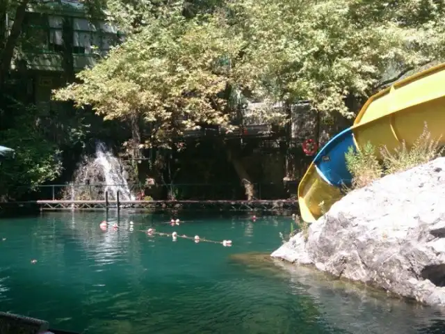 Dündar Yıldız Grubu Restaurant Dimçayı Alanya'nin yemek ve ambiyans fotoğrafları 2