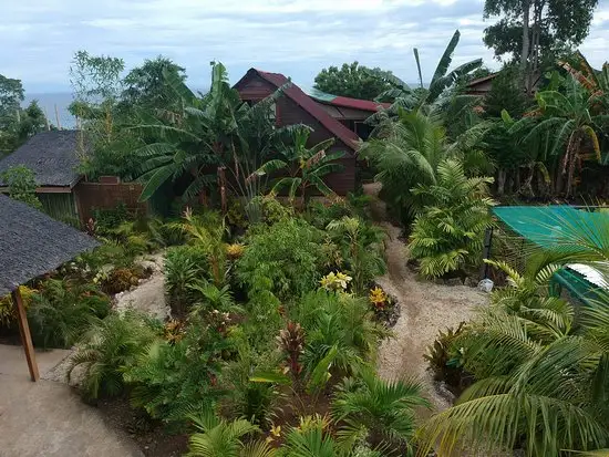 Jungle of peace resort