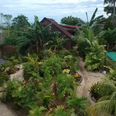 Jungle of peace resort