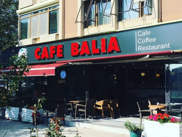 Cafe Balia'nin yemek ve ambiyans fotoğrafları 16