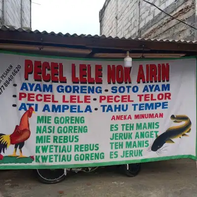 Pecel Lele Nok Airin