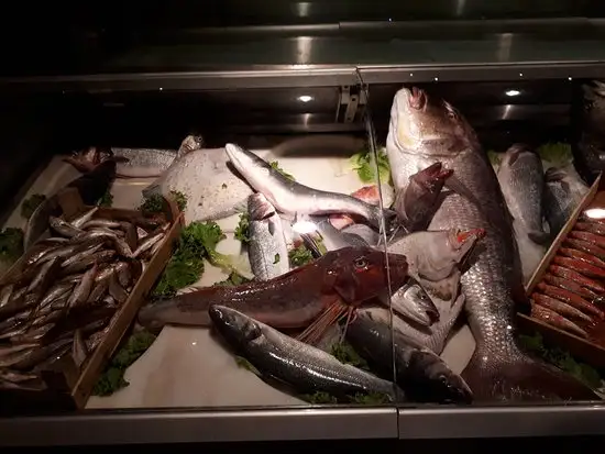 Sur Balık Cihangir'nin yemek ve ambiyans fotoğrafları 61