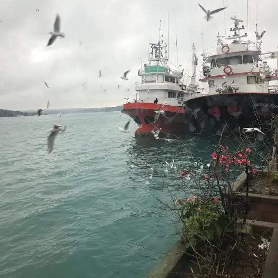 Sarıyer Spor Kulübü Kafeteryası