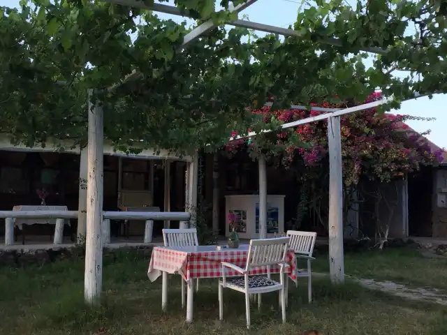 River Garden Restaurant Can-Turket Yatçılık'nin yemek ve ambiyans fotoğrafları 12