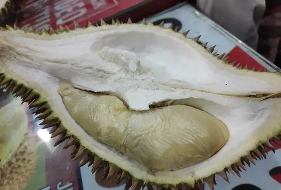 Gambar Makanan Durian Pelawi 2
