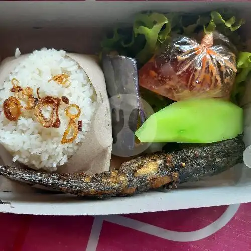 Gambar Makanan Nasi Goreng Dan Lalapan Fahmi, Denpasar 17