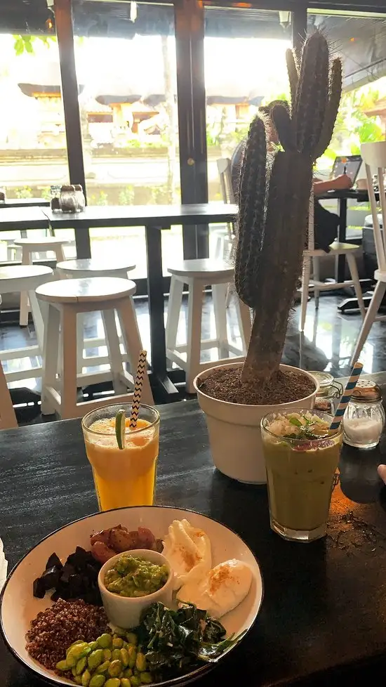 Cactus Cafe bali