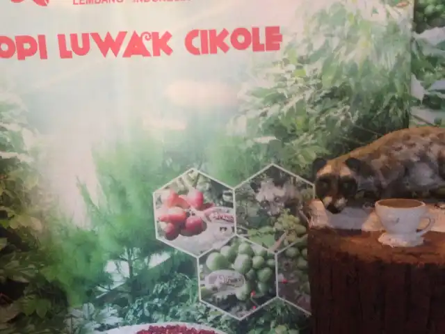 Gambar Makanan kopi luwak cikole 8