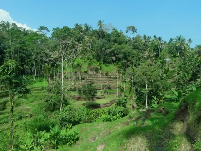 Gambar Makanan Boni Bali Restaurant 18