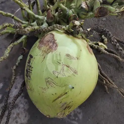 Gambar Makanan Es Kelapa Muda Ma'Had 86, Abdesir 7