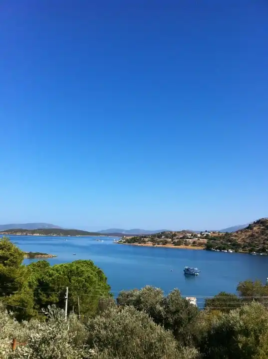 Manzara Cafe'nin yemek ve ambiyans fotoğrafları 4