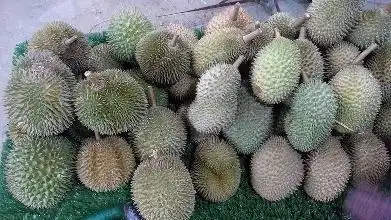 Bang Sham Durian Food Photo 3