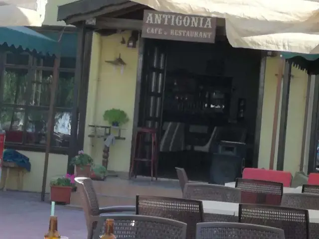 Antigonia Kafe'nin yemek ve ambiyans fotoğrafları 1