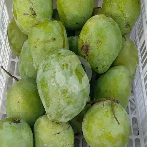 Gambar Makanan Rujak Buah Berkah Artomoro, Sawah Besar 7