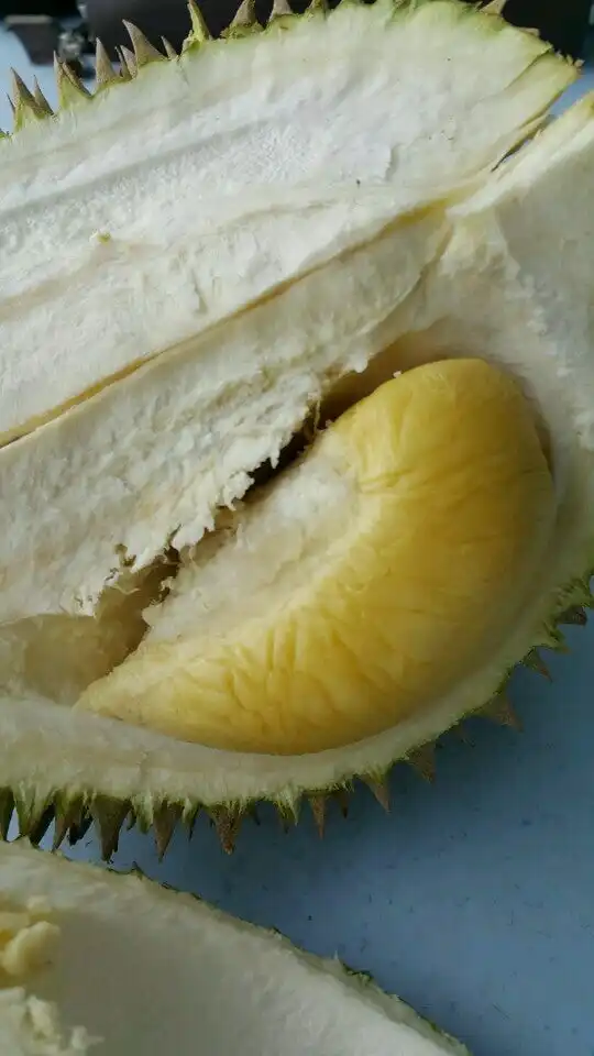 Soon Huat Durian Market Food Photo 11