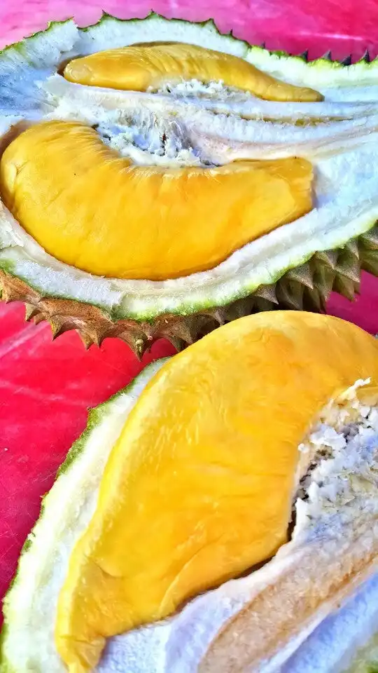 Bentong Durian Stall Food Photo 11