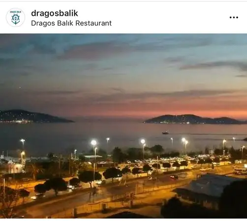 Dragos Balık'nin yemek ve ambiyans fotoğrafları 8