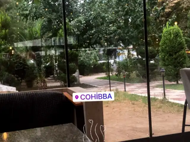 Cohibba'nin yemek ve ambiyans fotoğrafları 5