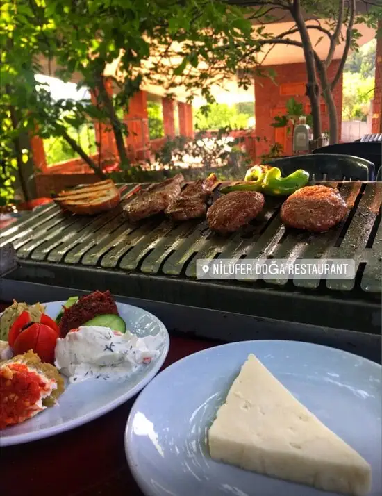 Nilüfer Doğa Restoran'nin yemek ve ambiyans fotoğrafları 9