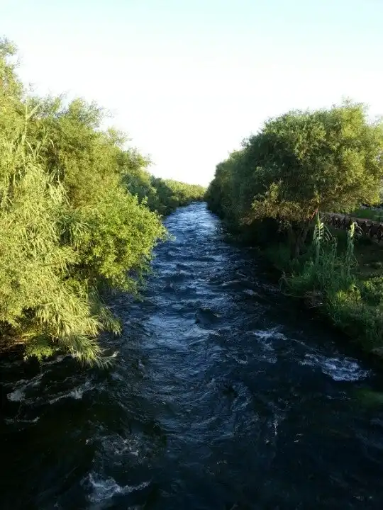 Girgin Cafe'nin yemek ve ambiyans fotoğrafları 4