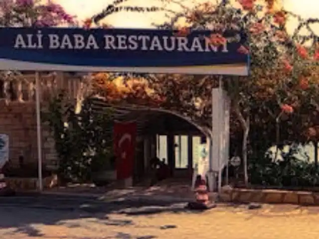 Ali Baba Restaurant Ve Bira Bahçesi'nin yemek ve ambiyans fotoğrafları 3