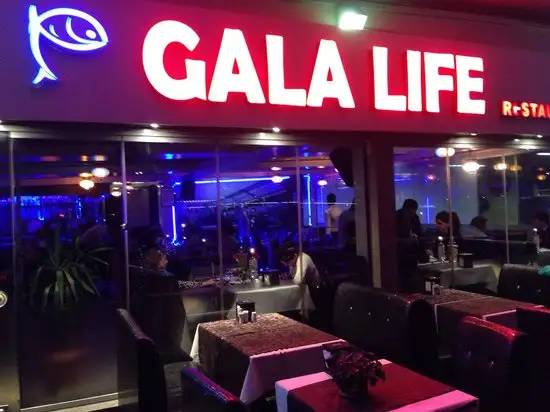 Gala Life Cafe'nin yemek ve ambiyans fotoğrafları 14