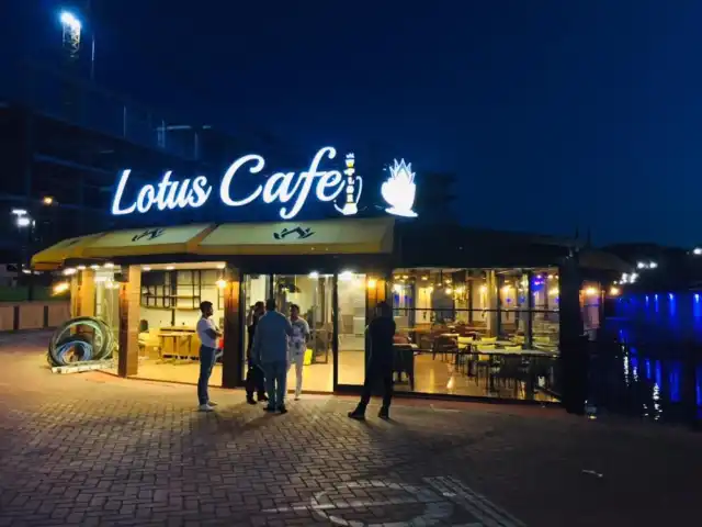 Lotus Cafe'nin yemek ve ambiyans fotoğrafları 20