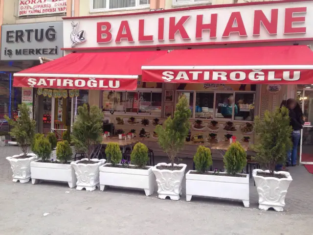 Şatıroğlu Balıkhane'nin yemek ve ambiyans fotoğrafları 3