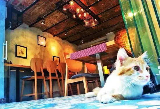 Cafe Lumiere'nin yemek ve ambiyans fotoğrafları 33