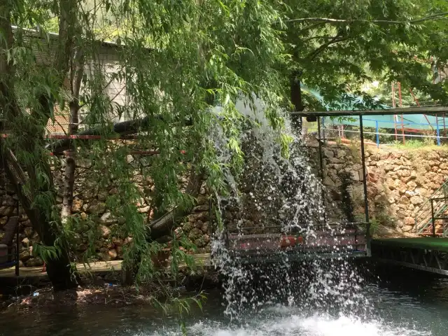 dim cayı anadolu restoran'nin yemek ve ambiyans fotoğrafları 5