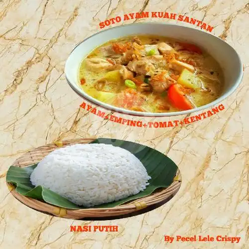 Gambar Makanan Pecel Lele Crispy 8