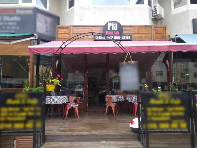 Pia Mantı Cafe'nin yemek ve ambiyans fotoğrafları 2