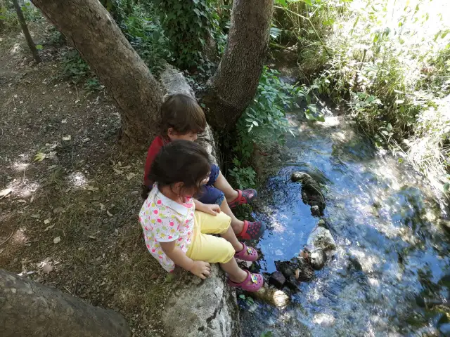 Bayar Aile Piknik Restaurant'nin yemek ve ambiyans fotoğrafları 4