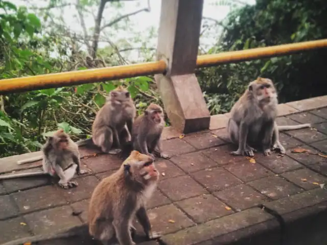 Gambar Makanan Buyan resort 2