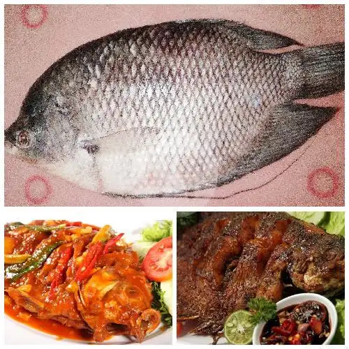 Gambar Makanan Ikan Bakar Etong Dan Seafood, K H Abdul Raya 12