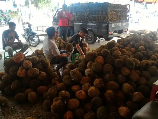 Gambar Makanan Durian Pelawi 12