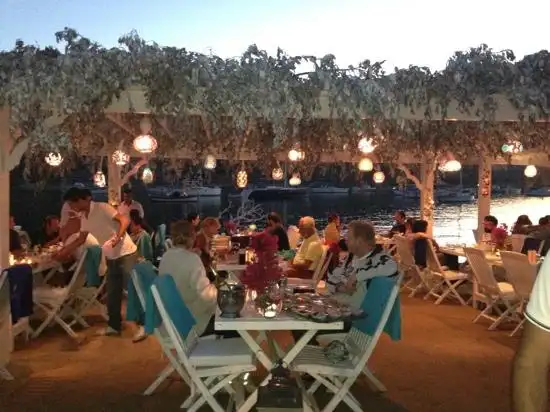 Melengec Restaurant Gumusluk'nin yemek ve ambiyans fotoğrafları 3