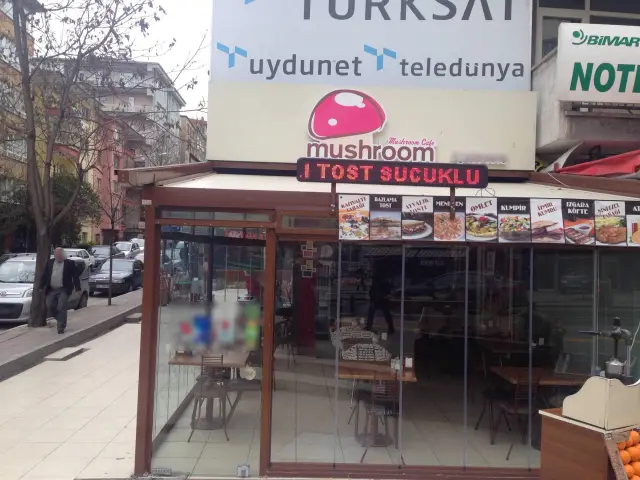 Mushroom Cafe'nin yemek ve ambiyans fotoğrafları 2