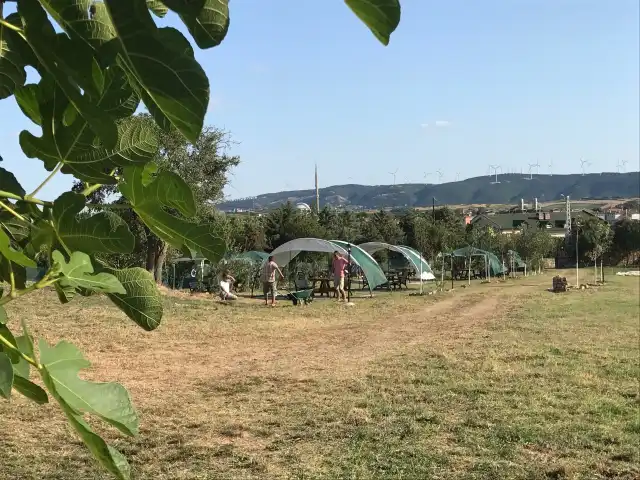 Tavşan Vadisi'nin yemek ve ambiyans fotoğrafları 9