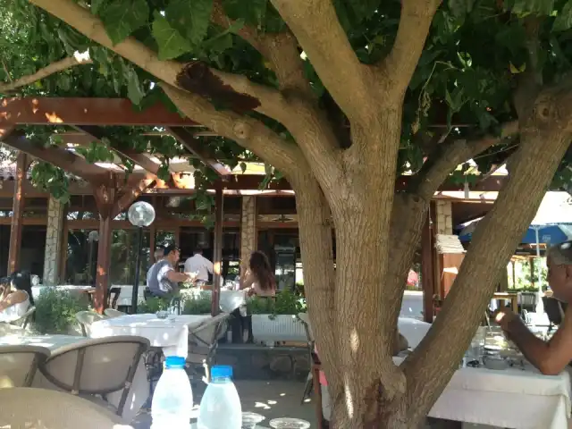 Hanedan Restaurant'nin yemek ve ambiyans fotoğrafları 3