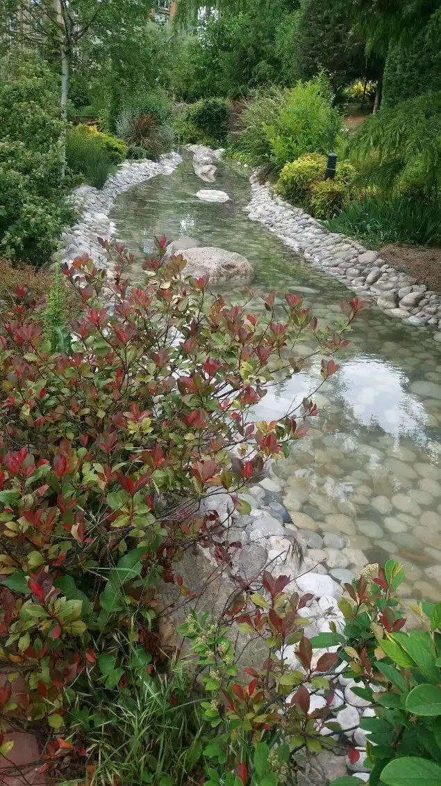 Focaccia Avrupa Konutları'nin yemek ve ambiyans fotoğrafları 18