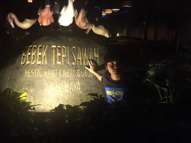 Gambar Makanan Bebek Tepi Sawah 7