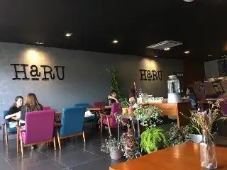 Haru Cafe (Hilltop Branch)