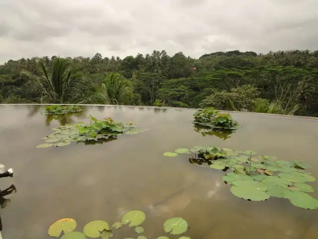 Gambar Makanan Riverside - Four Seasons Resort Bali at Sayan 19