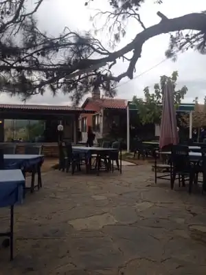 Pino Restaurant'nin yemek ve ambiyans fotoğrafları 4