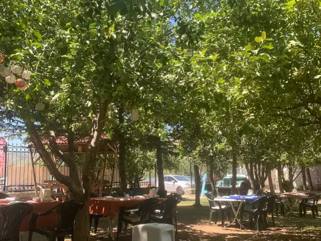 Hammock Cafe Bistro'nin yemek ve ambiyans fotoğrafları 2