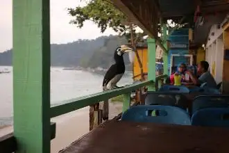 Rojak Ketam Anak Mame Pulau Pangkor