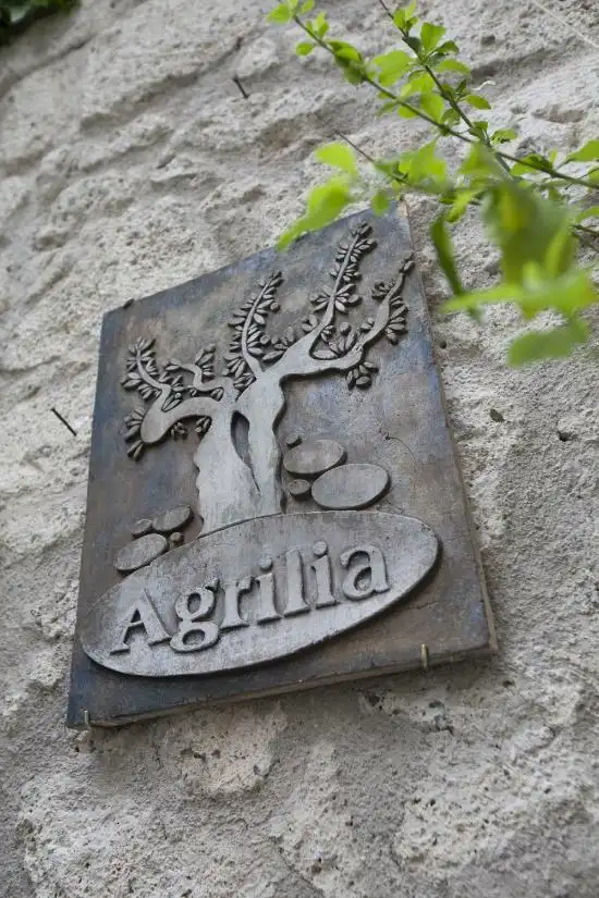 Agrilia Restaurant'nin yemek ve ambiyans fotoğrafları 11